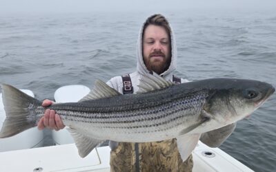 The fish are in!