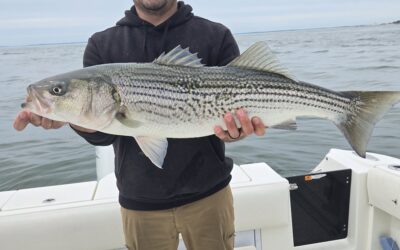 Striped Bass fishing is on fire!
