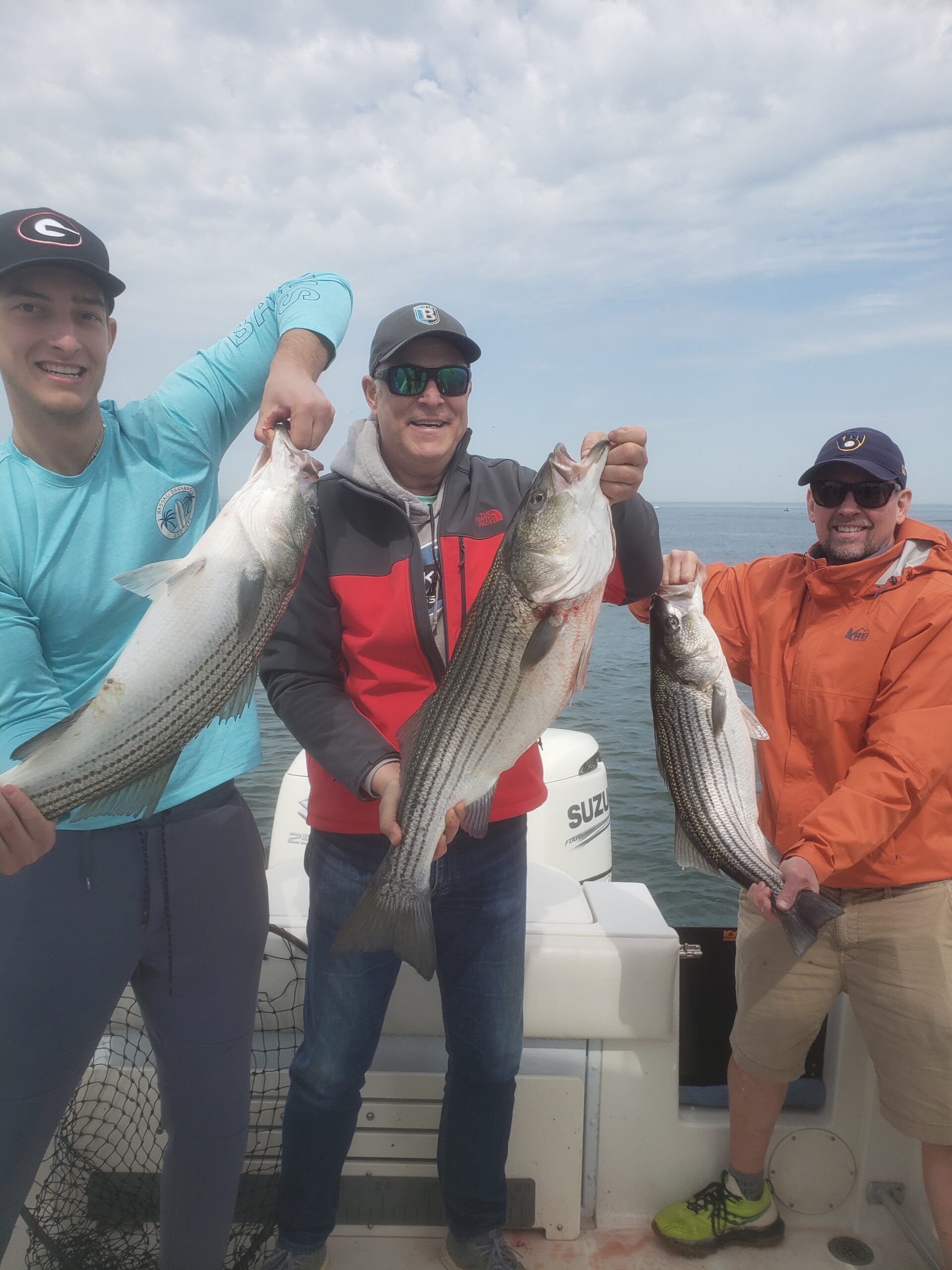 Stripers have arrived in good numbers!