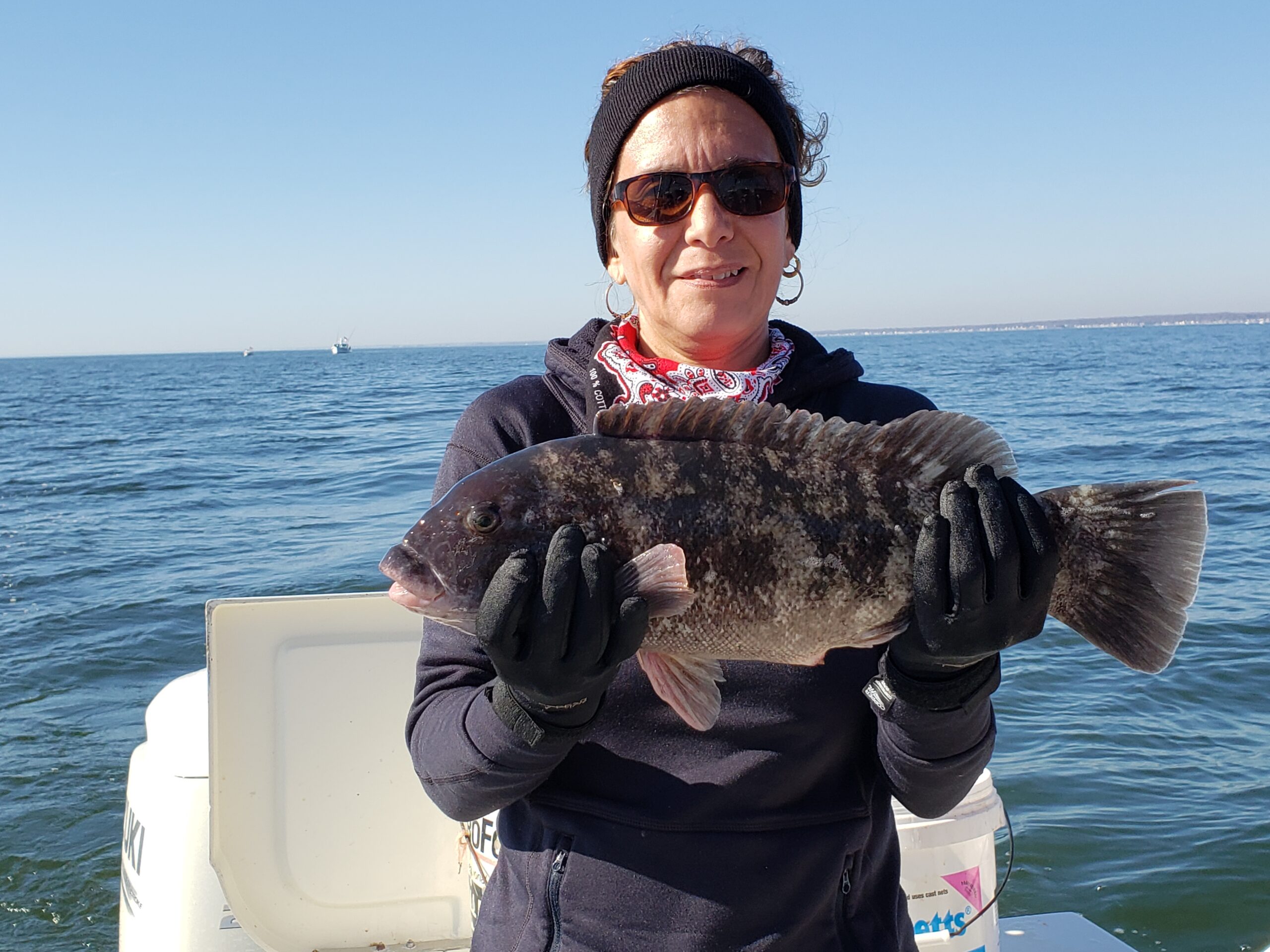 Blackfish, Striper, & Albie season is here!