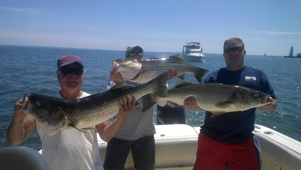 CT Fishing Charters, Charter Fishing Trips CT Kingfisher Charters